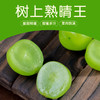 树上熟晴王 阳光玫瑰葡萄新鲜 商品缩略图0