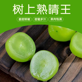 树上熟晴王 阳光玫瑰葡萄新鲜