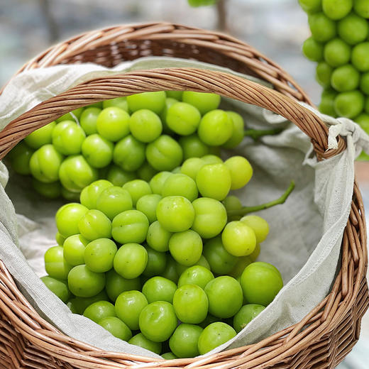 树上熟晴王 阳光玫瑰葡萄新鲜 商品图1