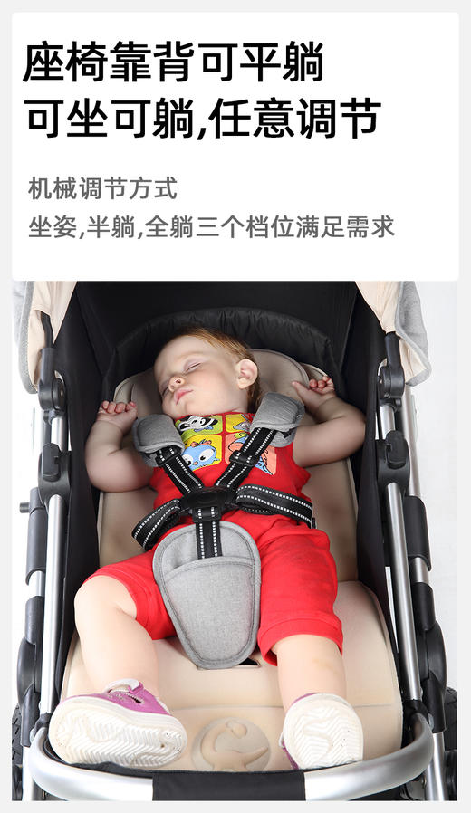 babyruler高景观婴儿车Tomado-T2/BBR-601178 商品图2