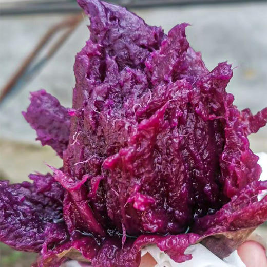 糖心紫薯4.5斤（509项农残0检出） 商品图11