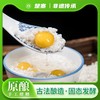 楚寨酒酿醪糟1㎏罐装湖北米酒甜酒酿手工自酿酒槽 商品缩略图2