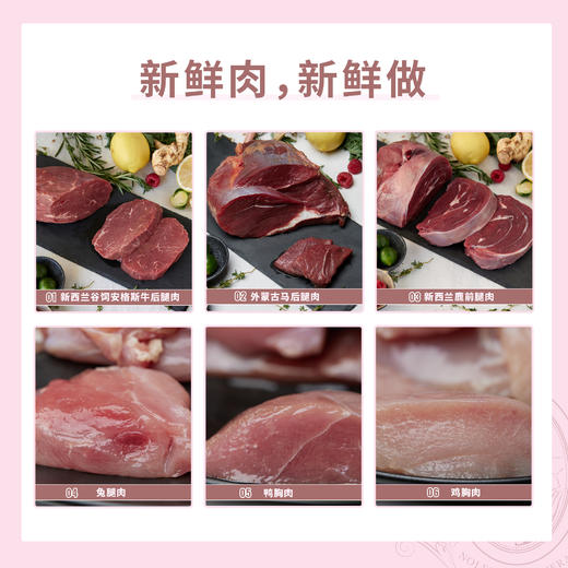 狗狗惠灵顿牛排 尝鲜装 常温版 100g/包 新鲜现做 法式烘焙 商品图1