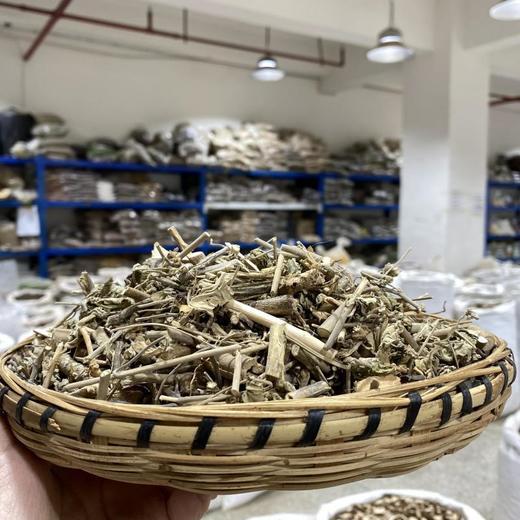 磨盘草 商品图1