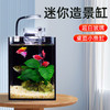 超白玻璃鱼缸造景加厚玻璃斗鱼缸办公桌书桌桌面小型客厅循环 商品缩略图1