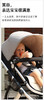 babyruler高景观婴儿车Tomado-T2/BBR-601178 商品缩略图10