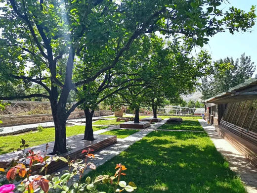 1日营 亲子自驾研学营 | 2大1小1天488元 拍下请提前1天预约 含1天所有费用 专业老师带队 商品图0