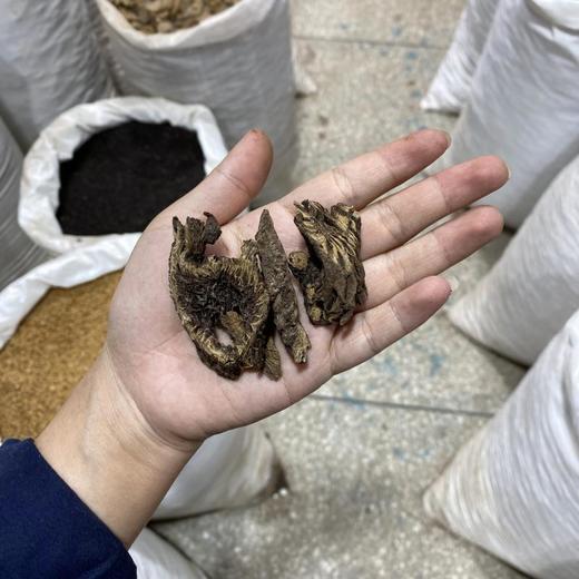 漏芦 当季新货 中药材 商品图4