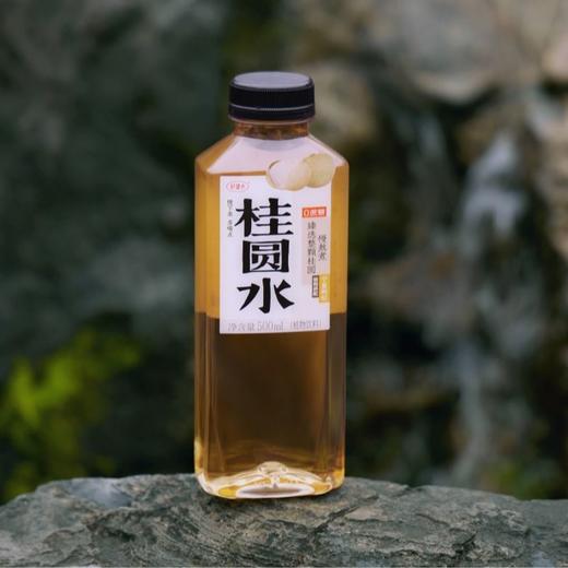 好望水 桂圆水植物饮料 500ml/瓶 商品图1