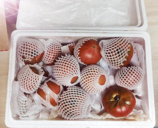 🍅戈壁滩上种植，祁连山雪水灌溉❗️【国内极少高甜品种 99.99%人没吃过-甘肃酒泉-高糖西红柿】25°早晚温差-糖分更高，1对1人工甄选，多倍高于普通番茄VC含量❗️ 商品图12