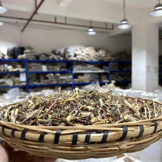 石椒草 商品图1