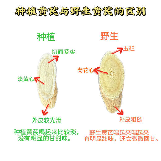 西藏野生黄芪 商品图5