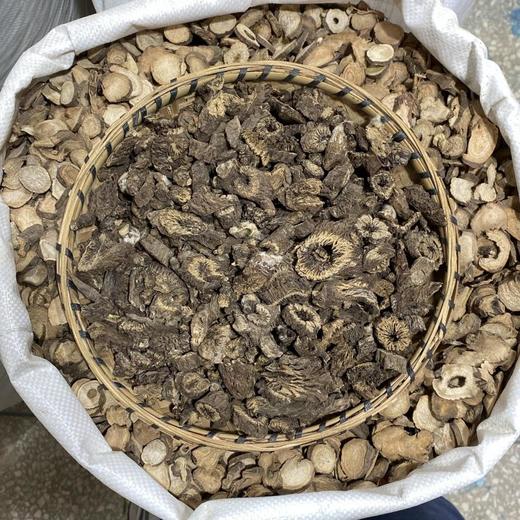 漏芦 当季新货 中药材 商品图2