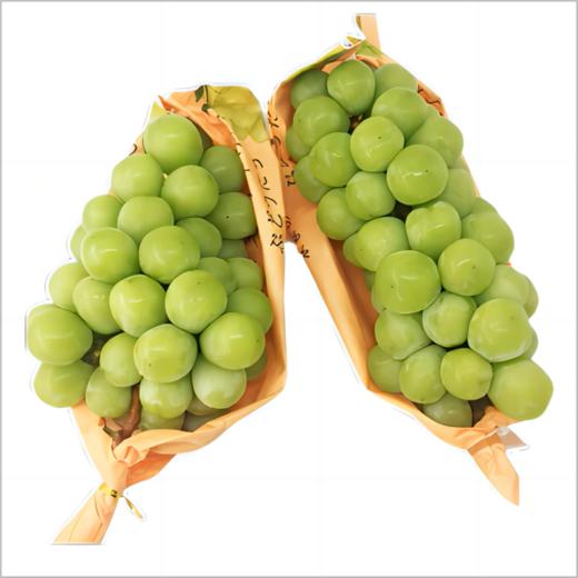 香印青提1000g 商品图0