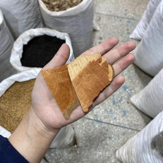 半枫荷 商品图4