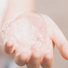 Mind and Body Purification and Healing Journey (2D1N)