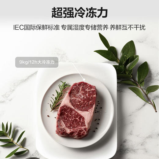 海尔505升全空间保鲜594mm超薄零嵌巨能冻双重除菌母婴空间彩晶T型门冰箱BCD-505WGHFT1BWGU1 商品图4