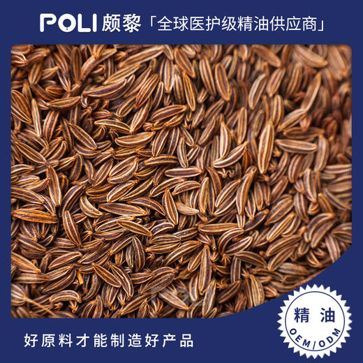 英国进口香菜芫荽精油原料  英国进口单方精油  颇黎批发进口单方精油 商品图0