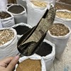 救必应 商品缩略图4