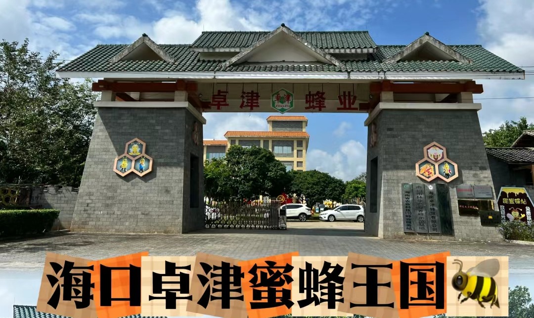 “自贸港小小外交官“之探“蜜”行动——走进蜜蜂王国