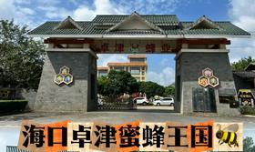 “自贸港小小外交官“之探“蜜”行动——走进蜜蜂王国