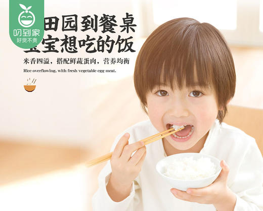 乔府大院五优香米（5kg/袋）生产日期:2月 商品图2