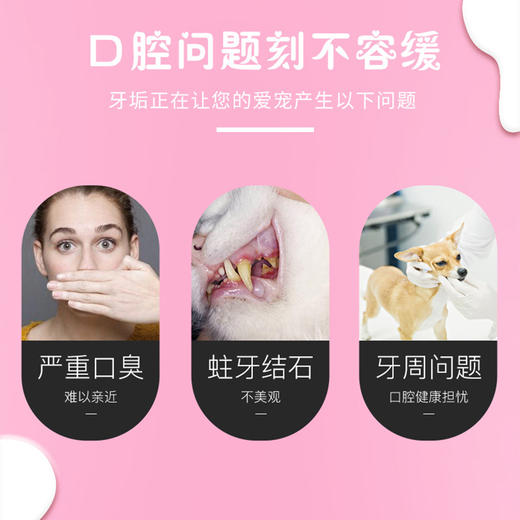 秒杀！宠物牙膏 清新洁齿去垢 商品图1
