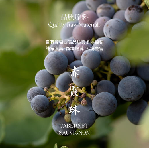 玉鸽繁花干红葡萄酒 商品图5