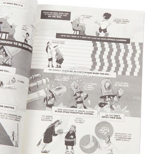 预售 【中商原版】心理学家丹尼奥本海默 图解心理学 Psychology The Comic Book Introduction 英文原版 Danny Oppenheimer 商品图3