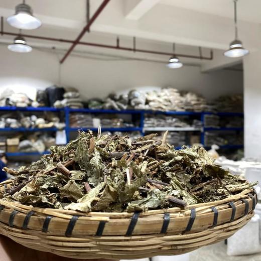 火炭母 商品图1