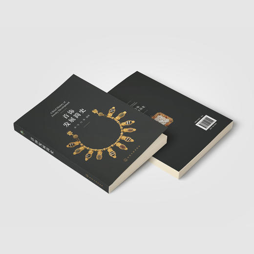 《首饰发展简史》 商品图10