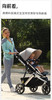 babyruler高景观婴儿车Tomado-T2/BBR-601178 商品缩略图5
