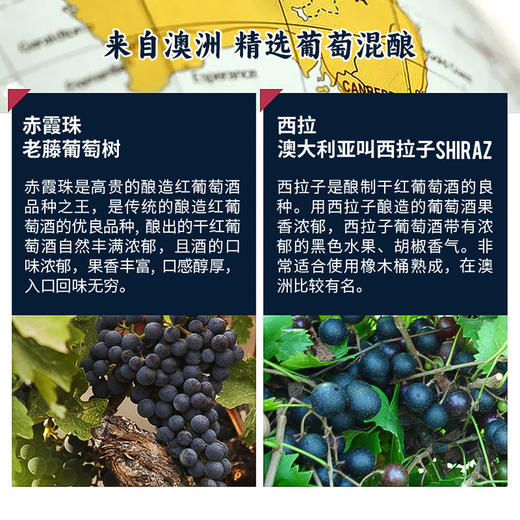 澳大利亚进口佰德福澳大利亚2013西拉赤霞珠干红葡萄酒750ml 商品图3