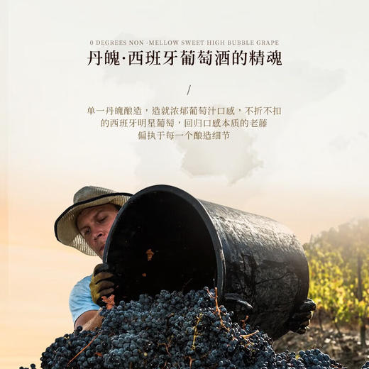 【网红爆款·玫瑰蜜桃香】Puccio红蜻蜓无醇起泡葡萄酒 西班牙原瓶进口 0%vol 商品图6