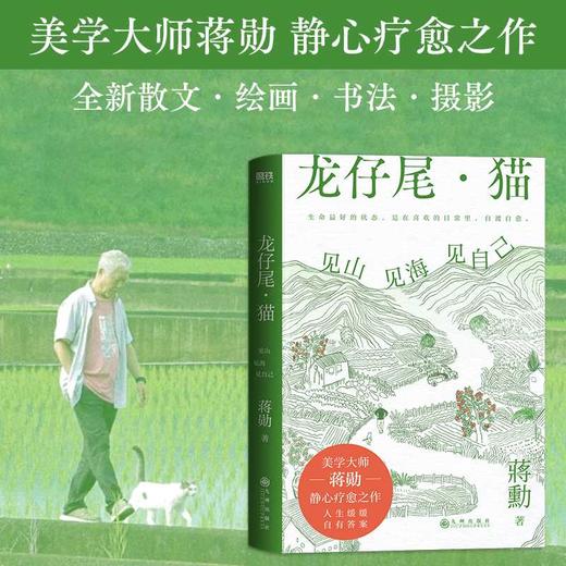 龙仔尾·猫：见山见海见自己（蒋勋全新散文、绘画、书法、摄影，一部静心疗愈之作！人生缓缓，自有答案）([中国台湾] 蒋勋) 商品图6