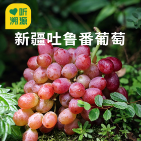 【新疆吐鲁番玻璃脆葡萄 】火焰无核玻璃脆葡萄