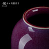 问鼎钧瓷梦鼎系列瓢形瓶 商品缩略图4