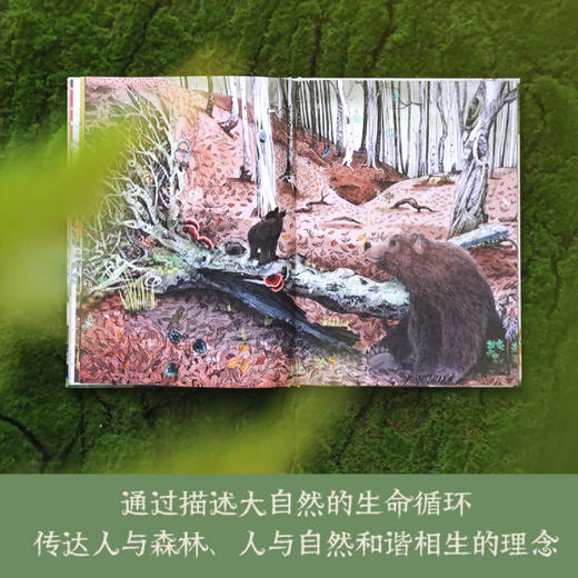 一木倒，万物生：树的第二次生命 商品图2