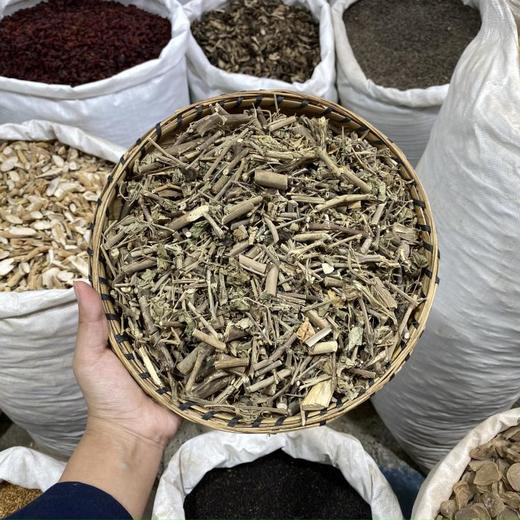 磨盘草 商品图0