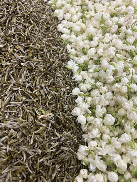 清如许茶山定制｜2025九窨茉莉针王 （福州传统工艺） 商品图3