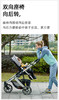 babyruler高景观婴儿车Tomado-T2/BBR-601178 商品缩略图6