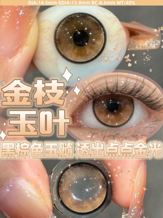 papadox日抛 冰水琉璃/金枝玉叶/澳白水滴 14.5mm 日抛无售后！！！ 商品图4