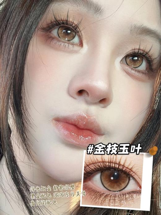 papadox日抛 冰水琉璃/金枝玉叶/澳白水滴 14.5mm 日抛无售后！！！ 商品图5