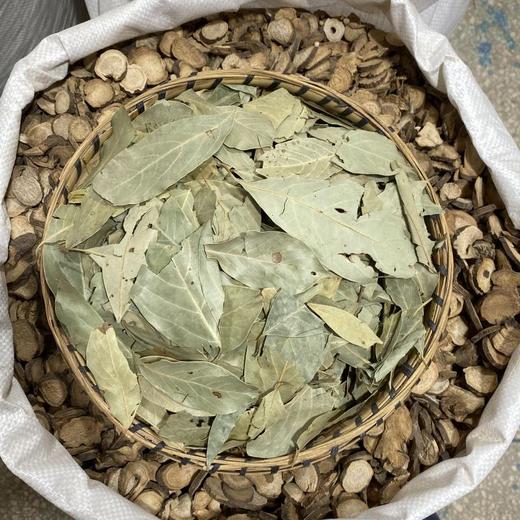 冬青叶 商品图2