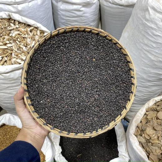 黑牵牛黑丑 商品图0