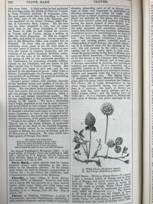 含中国内容！1889年 钱伯斯百科全书（卷3） 数百幅插图 真皮精装16开 商品图10