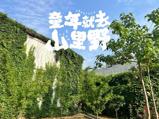 2天1夜独立营 | 营地专车接送，保定每日发车，外地可接站 专业老师带队 生活老师全程陪同 探野自然 生活体验营 商品图0