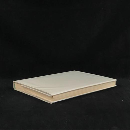 美第奇艺术瑰宝 55幅彩色插图8幅黑白插图 精装大16开 商品图2