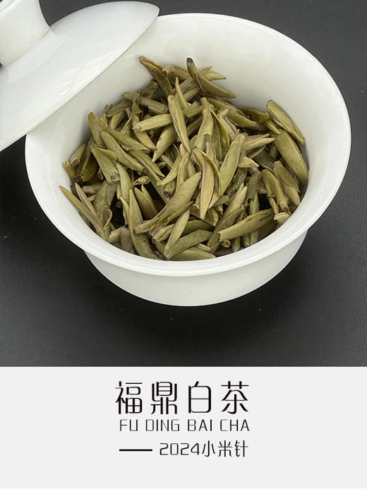 2024小米针（散茶） 商品图1