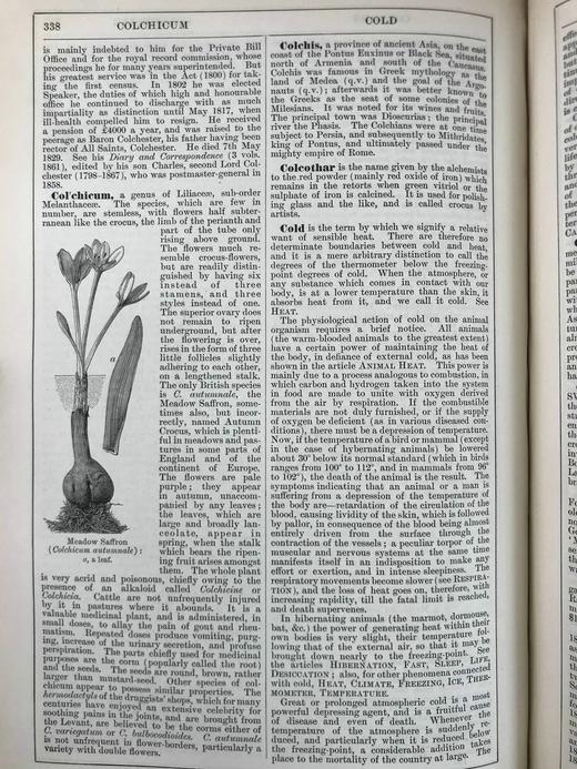 含中国内容！1889年 钱伯斯百科全书（卷3） 数百幅插图 真皮精装16开 商品图9